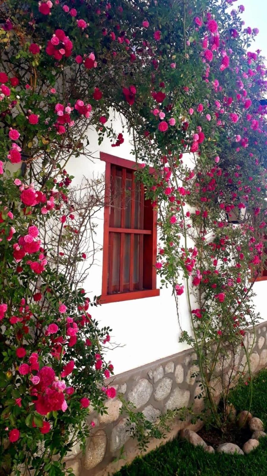 Holiday home Balcones De San Carlos - Casa Balcones